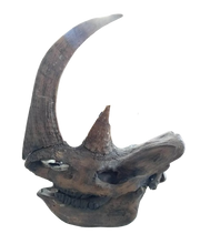 Load image into Gallery viewer, Woolly Rhino skull cast replica 3