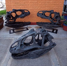 Load image into Gallery viewer, Allosaurus Skull Cast Replica Dinosaur Skull Reproduction Life-size!