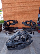 Load image into Gallery viewer, Allosaurus Skull Cast Replica Dinosaur Skull Reproduction Life-size!