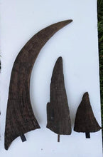 Load image into Gallery viewer, Woolly Rhino horns cast replicas