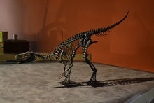 Load image into Gallery viewer, Herrerasaurus skeleton cast replica dinosaur for sale or rent