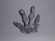 Load image into Gallery viewer, Camptosaurus Dinosaur Hand Cast Replica