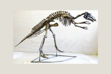 Load image into Gallery viewer, Juvenile Maiasaurus  Skeleton cast replica dinosaur