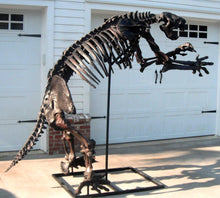 画像をギャラリービューアに読み込む, Megalonyx ground sloth skeleton cast replica