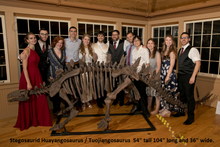 Load image into Gallery viewer, Stegosaurus skeleton cast replica #3 Huayangosaurus / Tuojiangosaurus