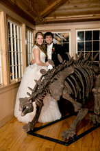 Load image into Gallery viewer, Stegosaurus skeleton cast replica #3 Huayangosaurus / Tuojiangosaurus