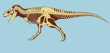 Cargar imagen en el visor de la galería, Tinker the T.rex skull cast replica