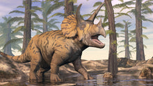 Charger l'image dans la galerie, Triceratops Brow Horn 32 Inches Long #2416