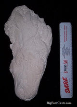 Load image into Gallery viewer, 1982 Umatilla Elk Wallow Paul Freeman Dermals Bigfoot  Cast