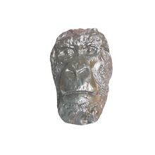 画像をギャラリービューアに読み込む, Gorilla Bust Death Cast Life cast #3  Carl Akeley Gorilla Death Mask