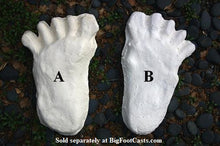 Load image into Gallery viewer, 1984 Paul Freeman's "Wrinkle Foot" cast  "A" Bigfoot Sasquatch footprint track cast replicas
