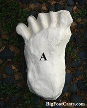 Load image into Gallery viewer, 1984 Paul Freeman's "Wrinkle Foot" cast  "A" Bigfoot Sasquatch footprint track cast replicas