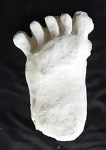 Load image into Gallery viewer, 1984 Paul Freeman's "Wrinkle Foot" cast  "A" Bigfoot Sasquatch footprint track cast replicas