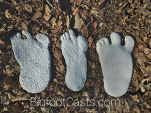 Load image into Gallery viewer, 1951 Yeti #3 Bigfoot cast footprint track replica