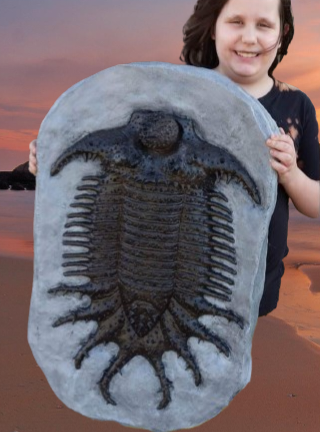 Terataspis grandis (Giant Trilobite) Cast Replica