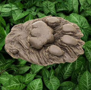 Mountain Lion (Cougar) 2 footprint cast replicas Mt Lion Tracks #2 and #3