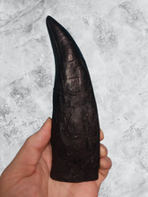Load image into Gallery viewer, T.rex tooth #8. Large 8&quot; Tyrannosaurus Rex T.rex Fossil tooth for sale T-rex Trex