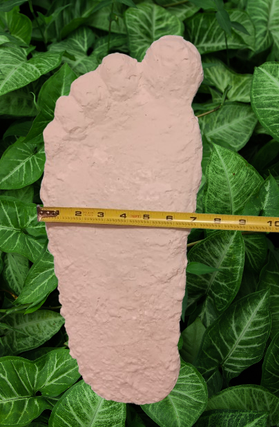 1963 Graves Bigfoot cast replica track