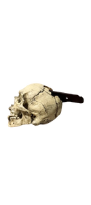 Spanish Conquistador Human Skull with Broad Ax Trauma Human skull Ax cast replica