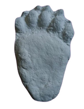 Charger l&#39;image dans la galerie, Bear: Footprint Adult Black Bear footprint cast replica