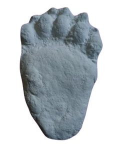 Bear: Footprint Adult Black Bear footprint cast replica