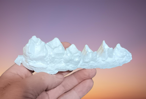 Uintatherium Teeth Cast Replica