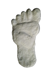 画像をギャラリービューアに読み込む, 19xx Alma Footprint track cast from Russia Cryptozoology Almasty Almas Footprint BIGFOOT