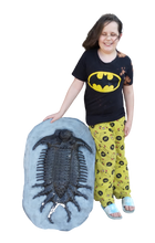 Load image into Gallery viewer, Terataspis grandis (Giant Trilobite) Cast Replica