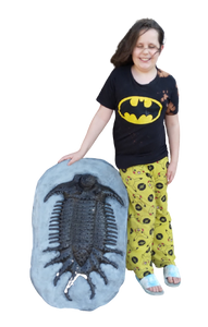 Terataspis grandis (Giant Trilobite) Cast Replica