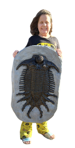 Terataspis grandis (Giant Trilobite) Cast Replica