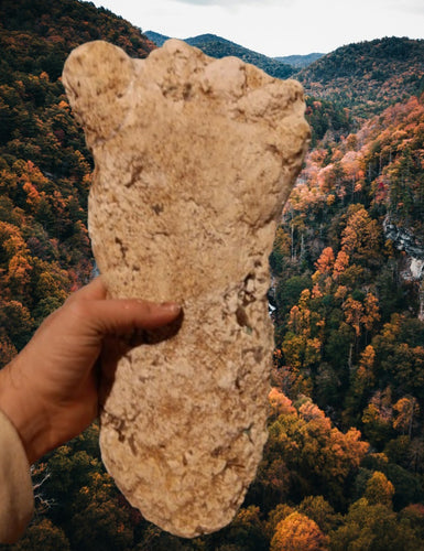 2019 North Carolina Bigfoot Print Cast Replica Limited Edition Footprint for sale Bigfoot plaster cast