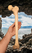 Load image into Gallery viewer, Neanderthal Femur Leg Bone Cast Replica Hominid cast replicas