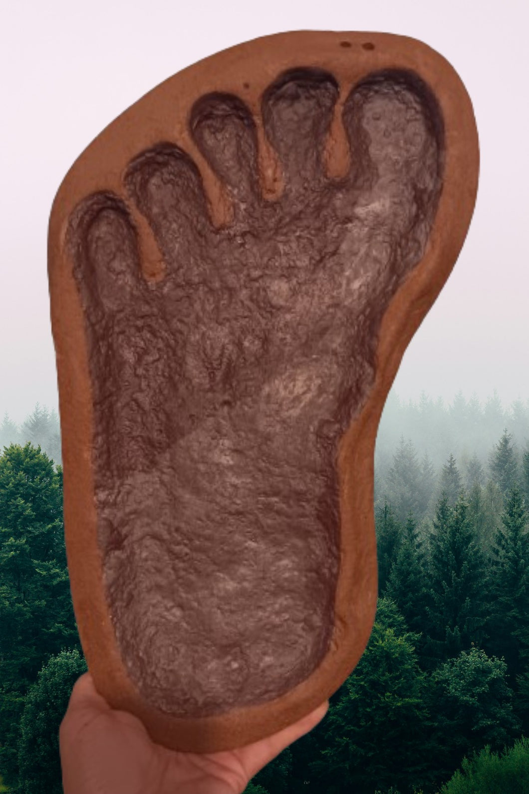 1983 Bigfoot Grover Krantz LIMITED EDITION TRACK CAST Sasquatch footprint cast