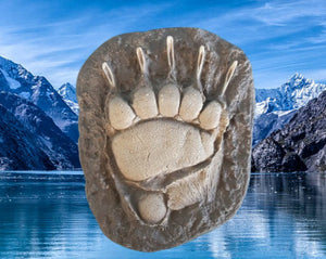 Grizzly Bear Track #4 Front Footprint Track Cast Replica Left Foot from a Grizzly Bear Track Preproduction