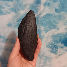 Load image into Gallery viewer, Stegosaurus Armor Plate cast replica #3