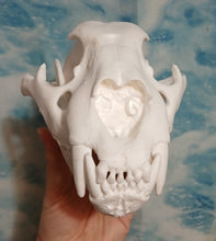 Load image into Gallery viewer, Liliger Skull Cast Replica Reproduction