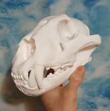 Load image into Gallery viewer, Liliger Skull Cast Replica Reproduction