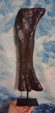 Load image into Gallery viewer, Bellusaurus Femur cast replica dinosaur