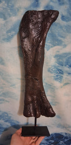 Bellusaurus Femur cast replica dinosaur