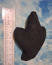 Load image into Gallery viewer, Theropod Deep Dinosaur Footprint Track Cast Replica (Plaster)