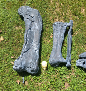 Camarasaurus leg cast replica