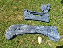 Cargar imagen en el visor de la galería, Camarasaurus leg cast replica