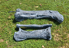 Cargar imagen en el visor de la galería, Camarasaurus leg cast replica
