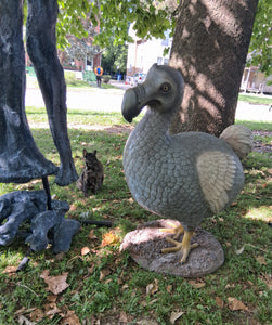 Dodo Bird Lifesize sculpture statue