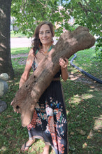 Load image into Gallery viewer, Triceratops Femur Leg Bone Cast replica #1