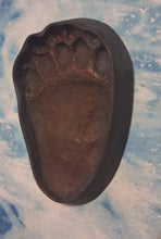 Load image into Gallery viewer, Bear: Footprint Adult Black Bear Inverse Footprint cast replica Inverted