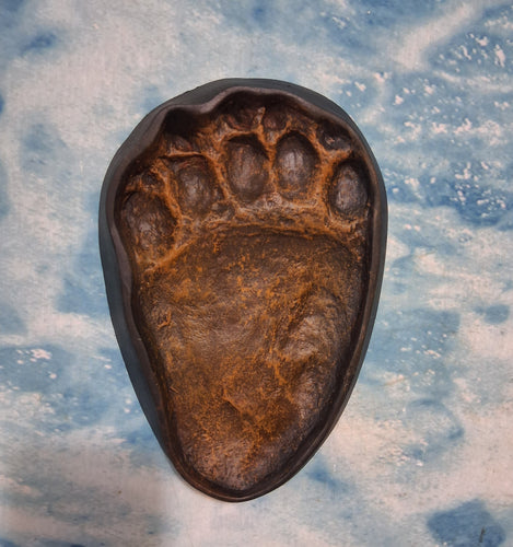 Bear: Footprint Adult Black Bear Inverse Footprint cast replica Inverted