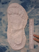 Load image into Gallery viewer, 1967 Bigfoot print Patty #3 Midtarsal Break Found by Bob Titmus 1967