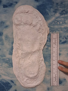 1967 Bigfoot print Patty #3 Midtarsal Break Found by Bob Titmus 1967