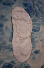 Load image into Gallery viewer, 1967 Bigfoot print Patty #3 Midtarsal Break Found by Bob Titmus 1967